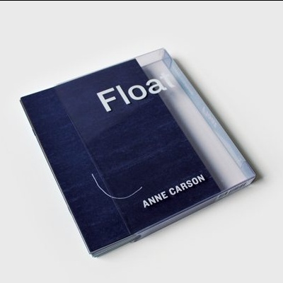 Livro azul escuro com capa protetora transparente