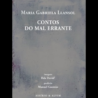 Capa de livro cinza com texto em branco