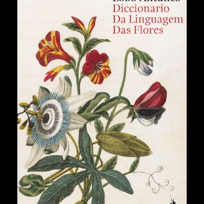 Capa de livro com flores coloridas e texto em português.