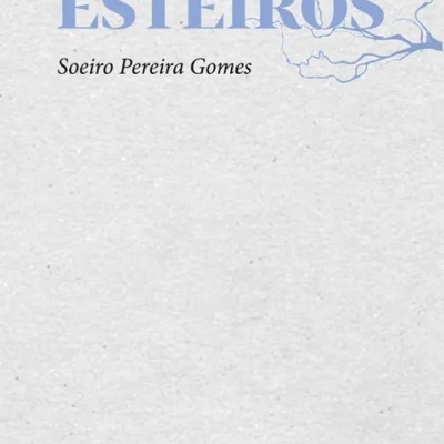 Capa de livro cinza claro com título azul, nome do autor e ilustração de ramo azul