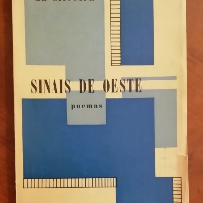 Livro com capa geométrica azul e texto em preto sobre superfície de madeira