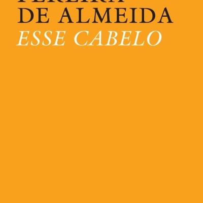 Capa de livro laranja com texto preto e branco