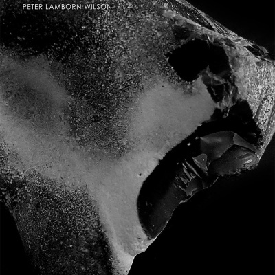 Capa de livro com escultura fragmentada de rosto e texto branco sobre fundo preto.