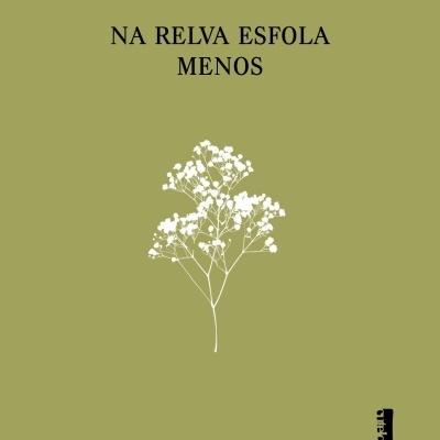 Capa de livro verde-oliva com texto e uma ilustração de flor branca