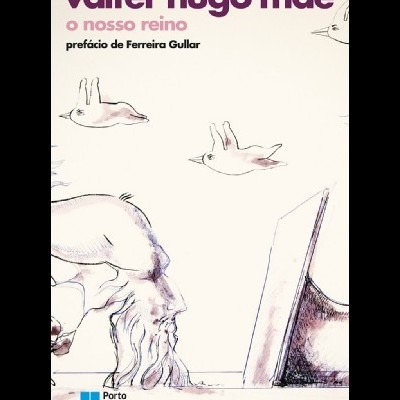 Capa do livro 'o nosso reino' de Valter Hugo Mãe com ilustração de homem e pássaros