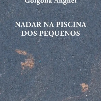 Capa de livro azul escuro com texto branco