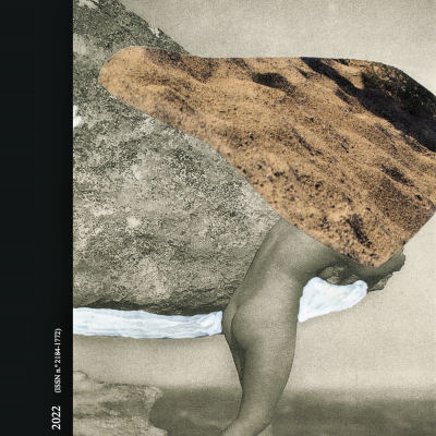 Capa da revista NERVO/15 com figura humana sob sombra castanha e fundo rochoso