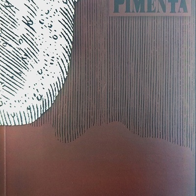 Capa de livro castanha com texto ALBERTO PIMENTA e Corpos estranhos