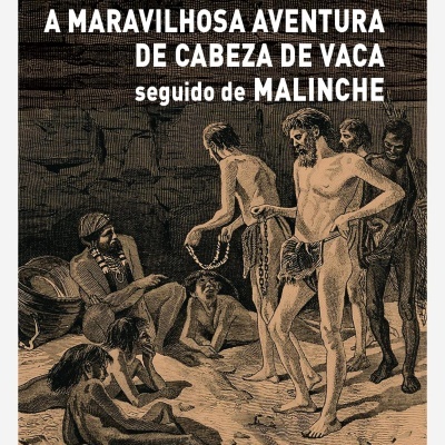 Capa de livro com título e ilustração de figuras humanas em tons castanhos e pretos