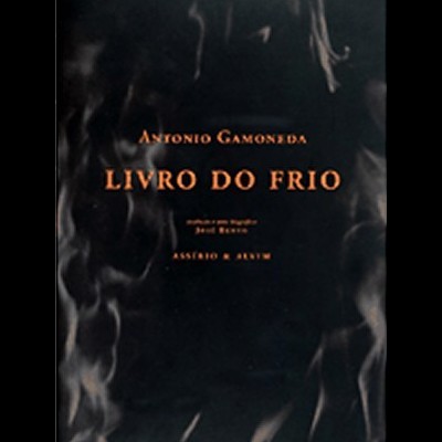 Capa de livro preto com texto laranja e textura de fumo