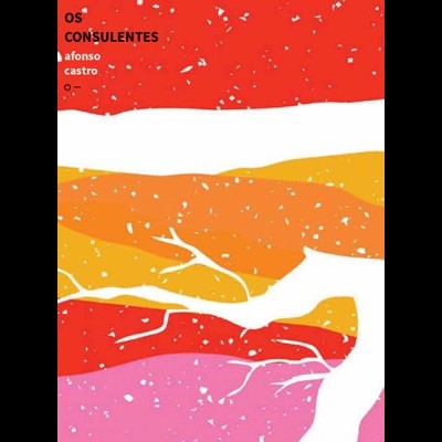 Capa de livro em cores vibrantes com texto preto