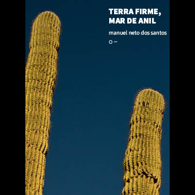 Capa de livro com texto branco e duas grandes cactáceas amarelas contra fundo azul escuro