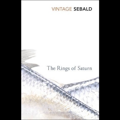 Capa de livro com título The Rings of Saturn e peixe prateado