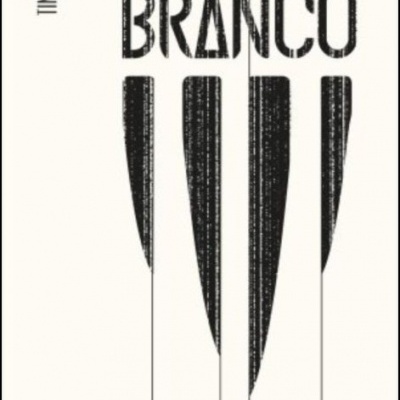 Capa de livro branca com texto preto e formas verticais pretas.