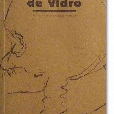 Capa de livro castanha com título Telhados de Vidro e desenho em linha fina