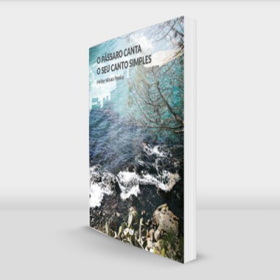 Livro em pé com capa ilustrada de montanha e texto O MELHOR LIVRO DE QUE LEMBROU!