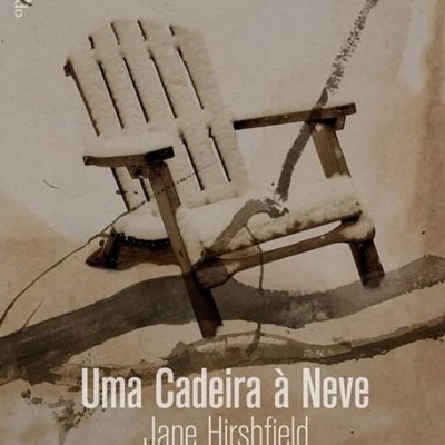 Capa do livro com uma cadeira de madeira velha contra uma parede bege.