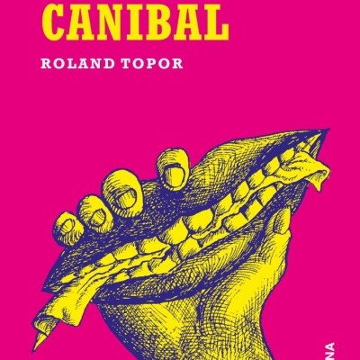 Capa de livro com fundo rosa e elementos em amarelo e azul