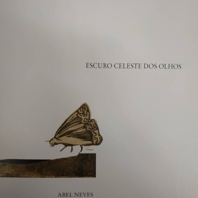 Capa de livro branca com texto e ilustração de borboleta castanha