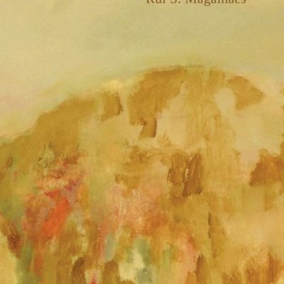 Capa de livro com título 