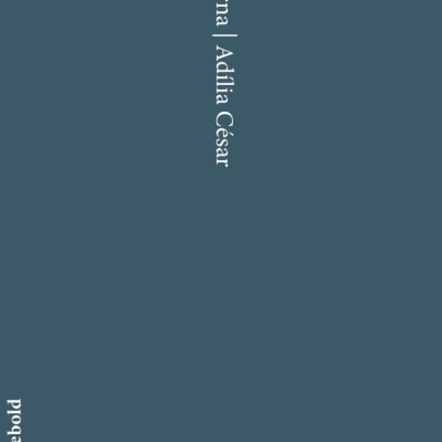 Capa de livro azul escuro com texto vertical branco