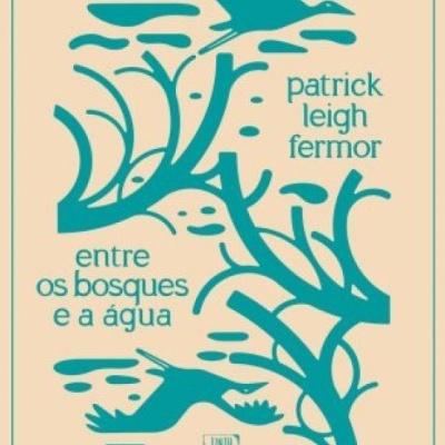 Capa de livro azul com aves e plantas sobre fundo creme