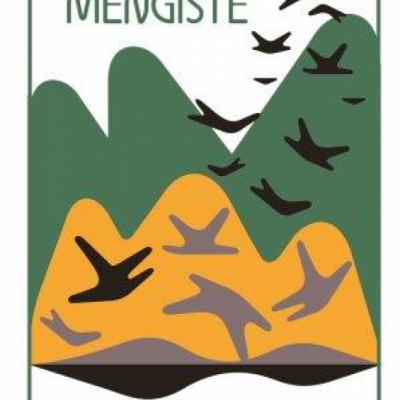 Capa de livro com montanhas, sol e pássaros, texto MAZA MENGISTE O REI-SOMBRA