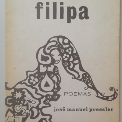Capa de livro com ilustração abstrata e texto em cinza