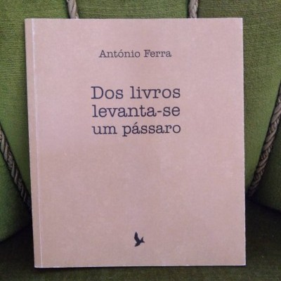 Capa de livro amarela com texto e pequeno pássaro preto sobre superfície verde texturizada.