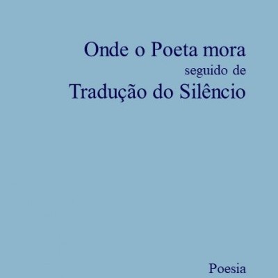 Capa de livro azul com texto em português e símbolo gráfico