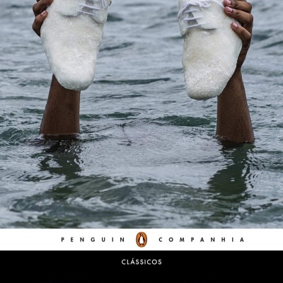 Capa do livro A des-educação do negro com imagem de mãos negras segurando sapatos brancos na água