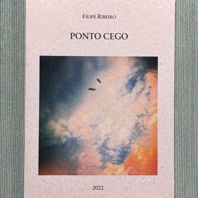 Capa do livro 'PONTO CEGO' com imagem de céu e pássaros