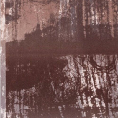 Capa com árvores refletidas e texto branco em fundo castanho e cinzento