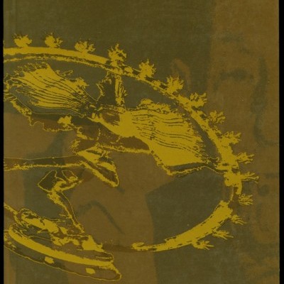 Capa de livro com título FRUTA DA ÉPOCA e autor JORGE FAILLORCA