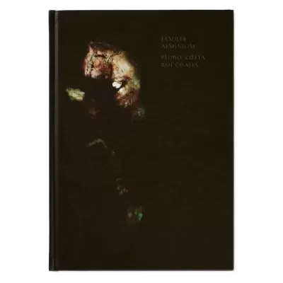 Livro de capa dura preta com texto dourado e imagem abstrata