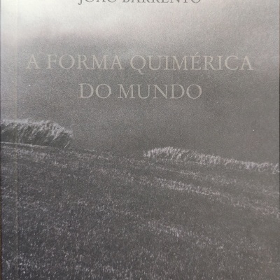 Capa de livro cinzenta com texto JOÃO BARRENTO A FORMA QUIMÉRICA DO MUNDO
