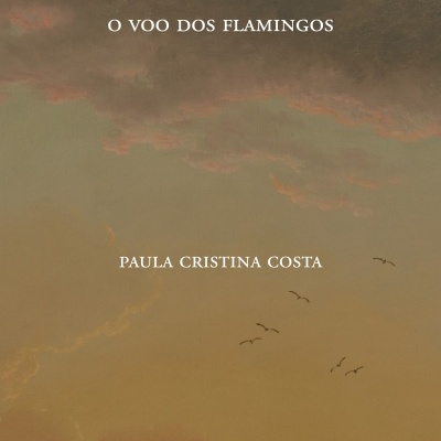 Capa de livro com título O VOO DOS FLAMINGOS e autora PAULA CRISTINA COSTA