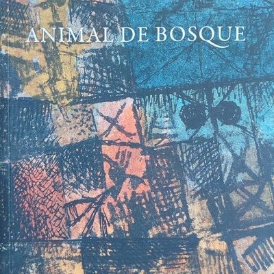 Capa de livro com arte abstrata e texto em branco