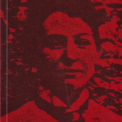 Capa vermelha de livro com rosto e texto Pela Vida