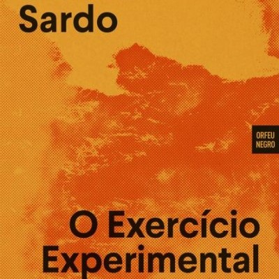 Capa de livro laranja com texto preto 'Delfim Sardo O Exercício Experimental da Liberdade'