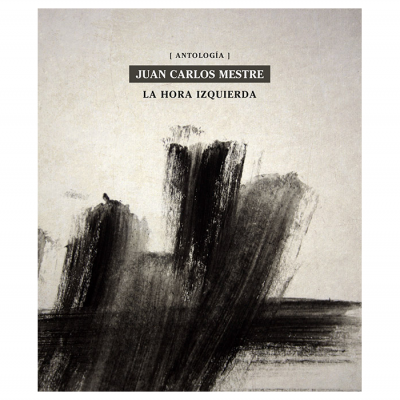 Capa de livro em tons de cinza e preto com texto central