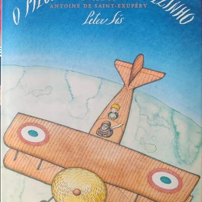 Capa de livro com ilustração de um avião castanho e texto em português.