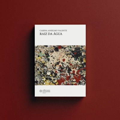 Capa do livro 'Raiz da Água' de Carina Anselmo Valente com arte abstrata colorida