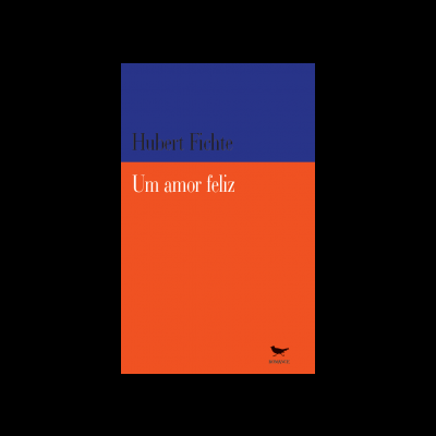 Capa de livro azul e laranja com texto em branco e preto