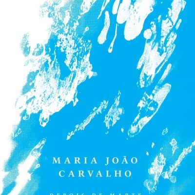 Capa de livro azul com texto e padrões abstratos brancos