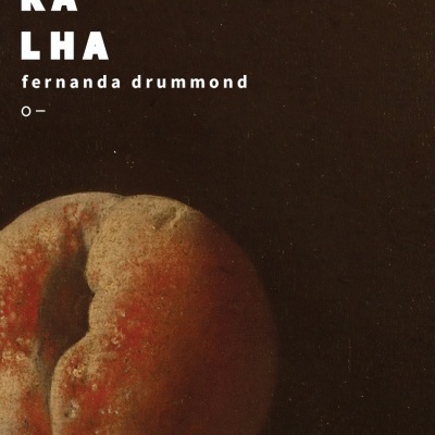 Capa de livro com pêssego e texto MURALHA de Fernanda Drummond