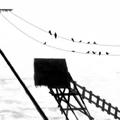 Capa de livro com título PENAS PESADAS DA NEVE e desenho em preto e branco de torre de vigia e pássaros