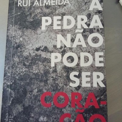 Capa de livro cinza textura pedra com título em branco e vermelho