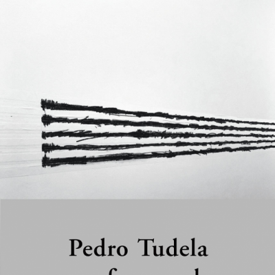 Capa de livro com linhas pretas paralelas e texto 'Pedro Tudela see ... from ... hear'