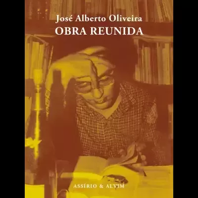 Capa de livro com pessoa lendo e estantes ao fundo